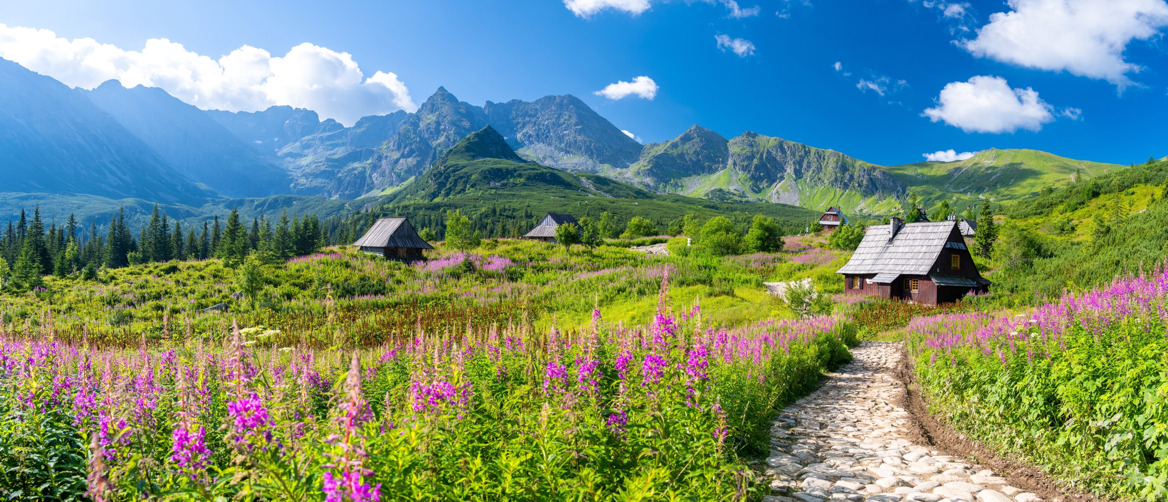 Widok na Tatry w okolicach Zakopanego